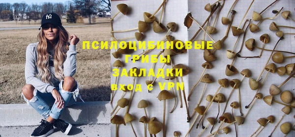 сатива Абинск