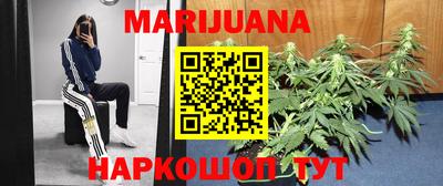 сатива Гагарин