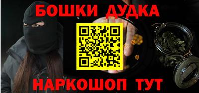 индика Беслан