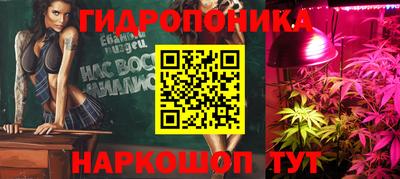 индика Беслан