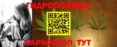 сатива Гай