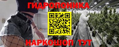 хмурый Гатчина