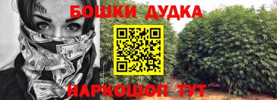 индика Беслан