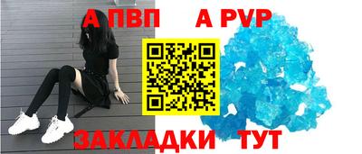 сатива Гай
