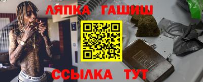 сатива Гай