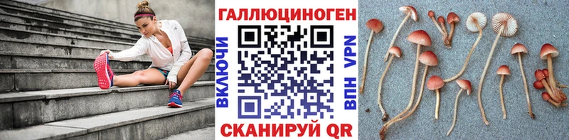 цены наркотик  Новоуральск  Галлюциногенные грибы GOLDEN TEACHER 