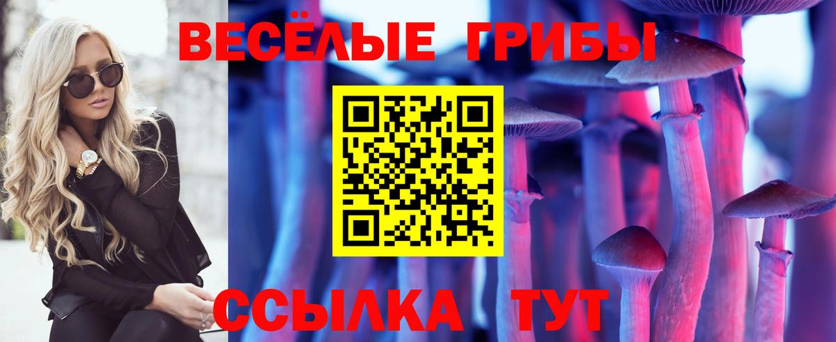 Галлюциногенные грибы ЛСД  Вход с VPN  Новоуральск  Галлюциногенные грибы ЛСД 